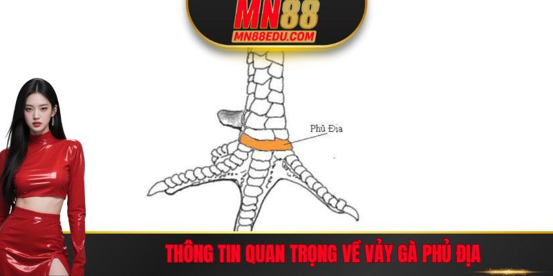 Thông tin quan trọng về vảy gà Phủ Địa